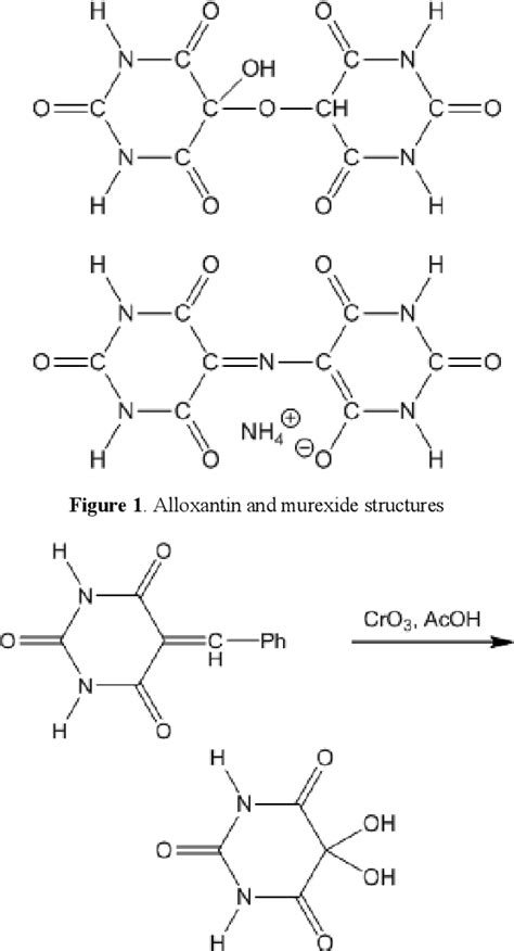 what is the mechanism of murexide test|Murexide .